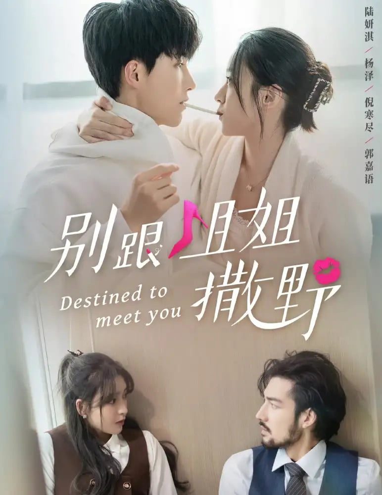 دانلود سریال چینی مقصد دیدار با شما 2022 Destined to Meet You
