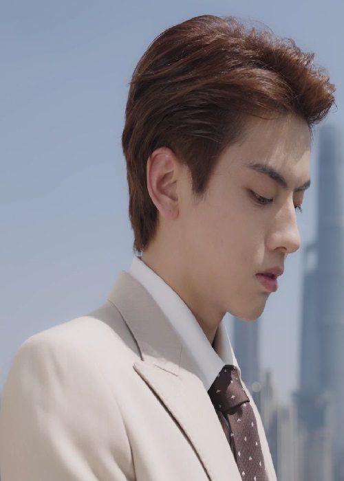 دانلود سریال چینی از ازدواج تا عشق 2022 Love Starts From Marriage