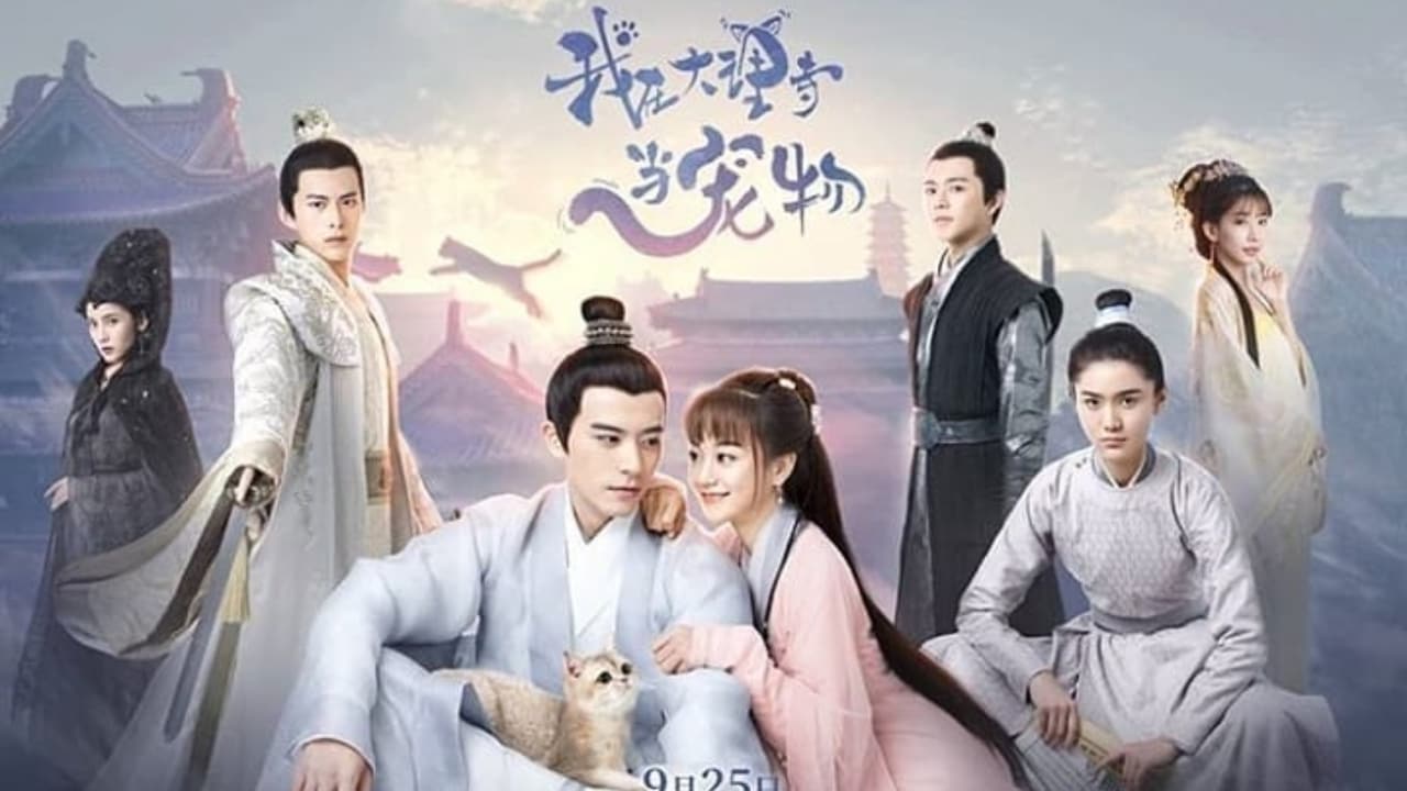 I'm a Pet At Dali Temple