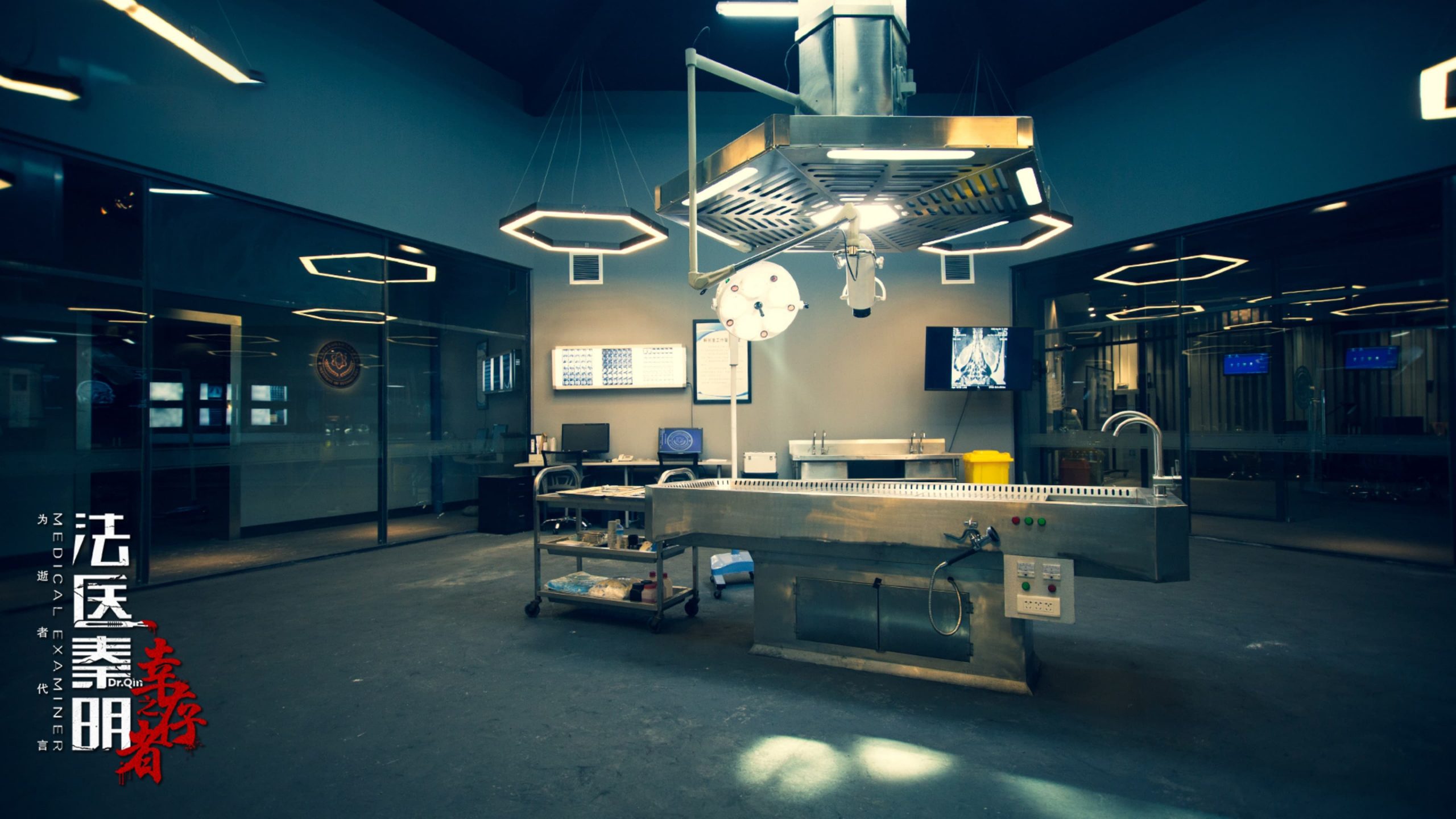 Medical Examiner Dr. Qin 2: The Scavenger