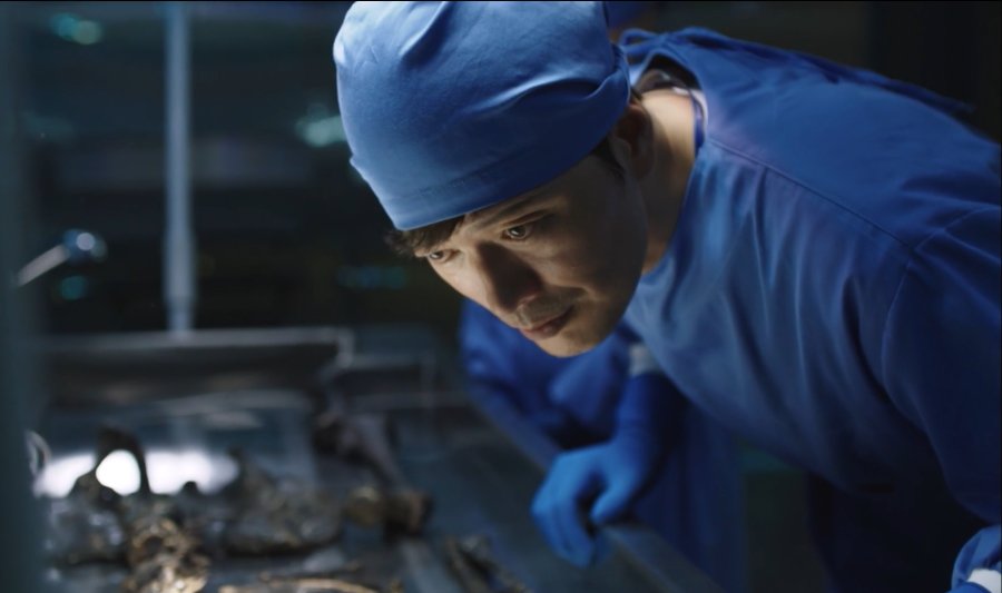 Partners for Justice