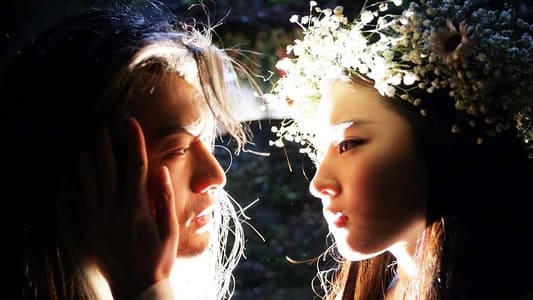 Return of the Condor Heroes