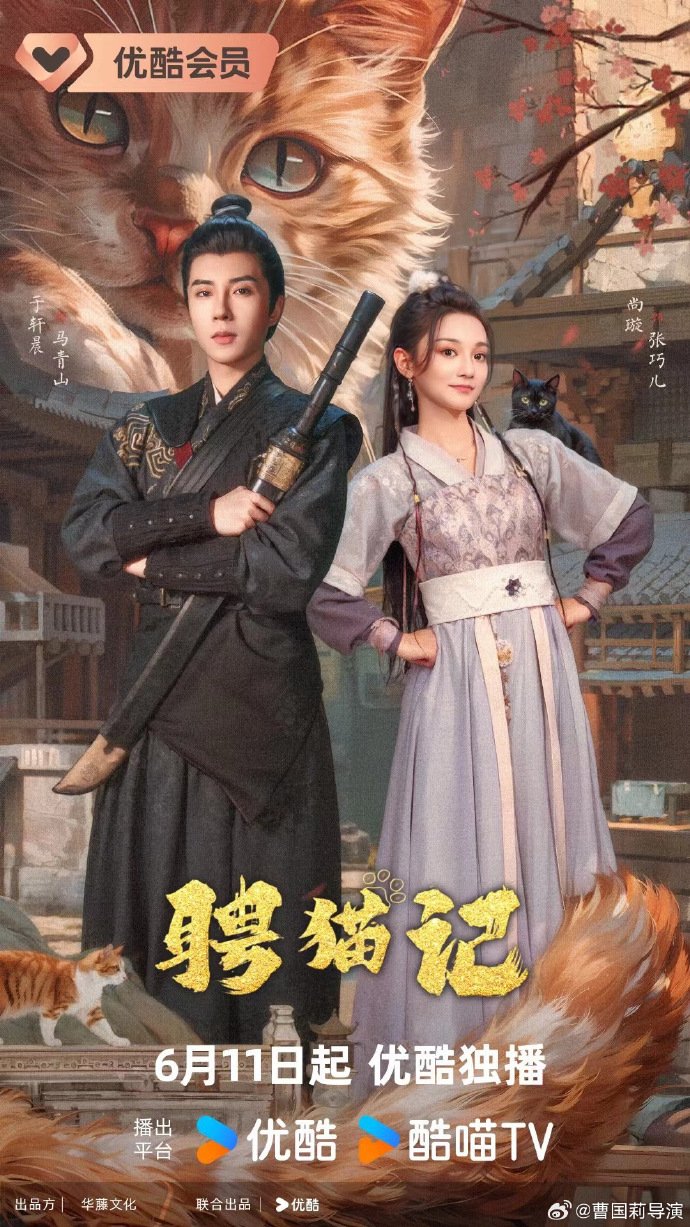 دانلود مینی سریال چینی سارق گربه 2024 My Cat Burglar