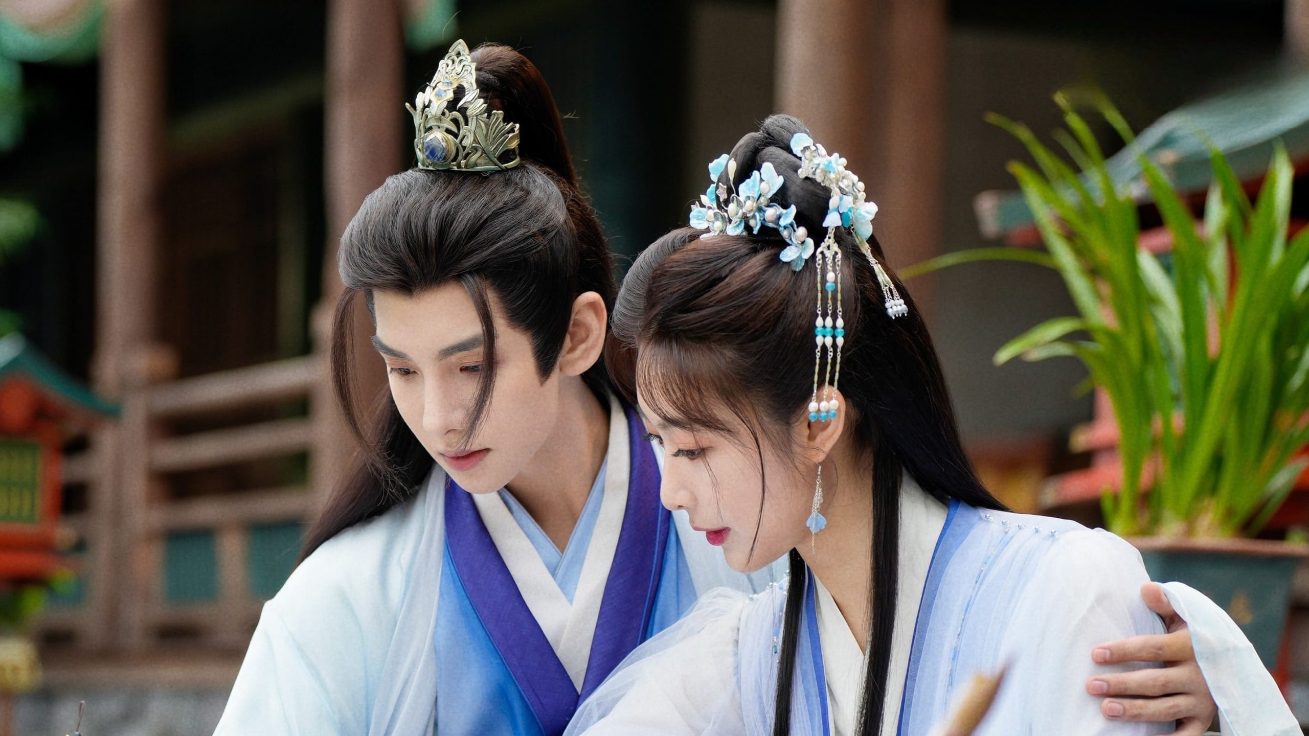 Wang Ye De Xiao Tian Fei