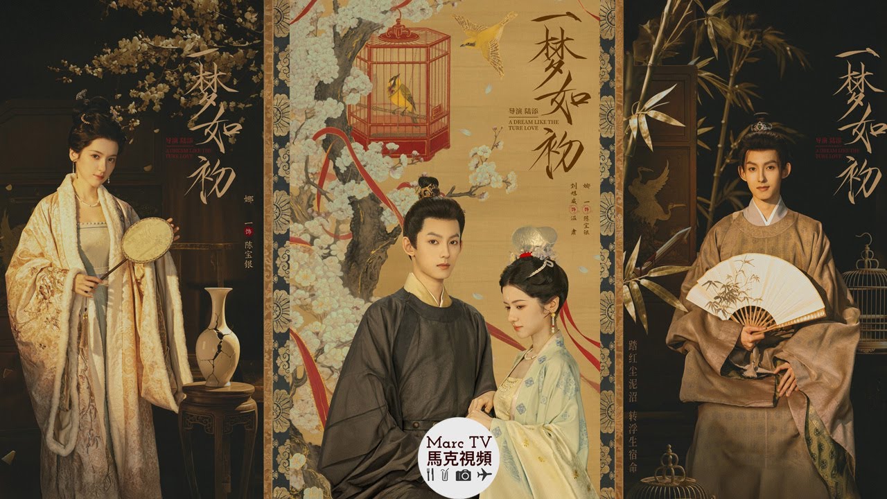 A Dream like the True Love